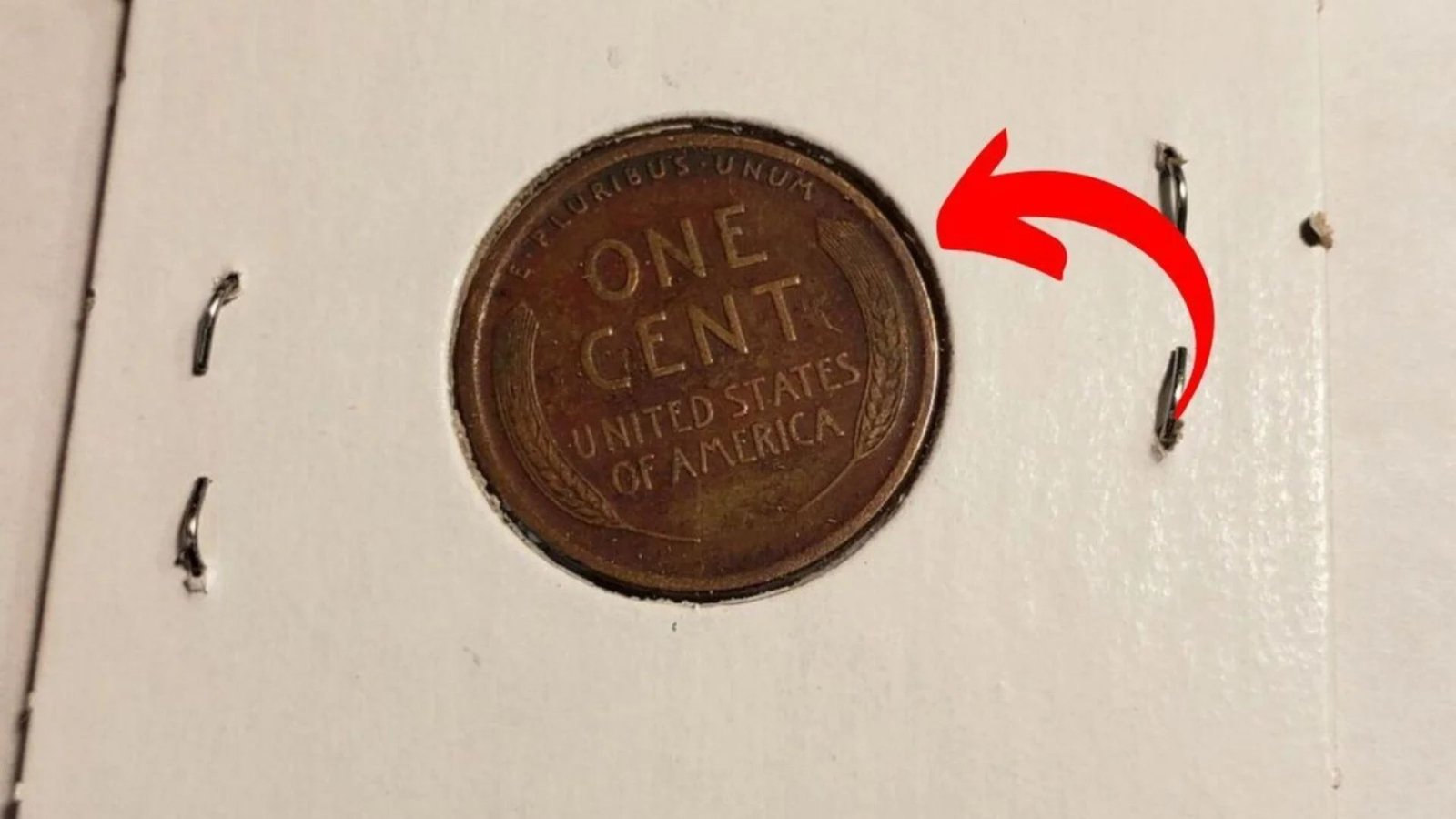 The Hunt for the $8 Million Lincoln Wheat Penny